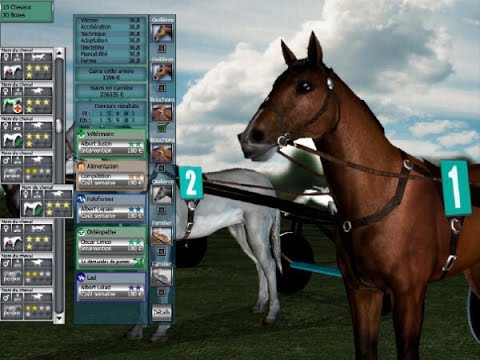 Horse Games For Mac Free